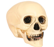 SKULL 20 CM