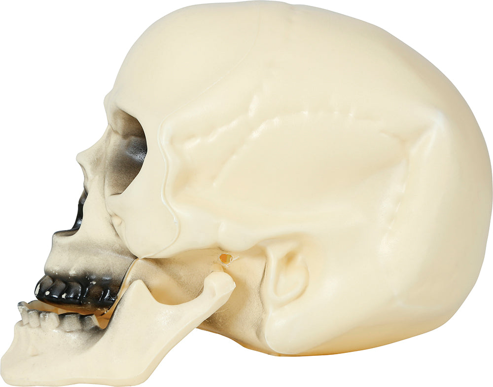 SKULL 20 CM