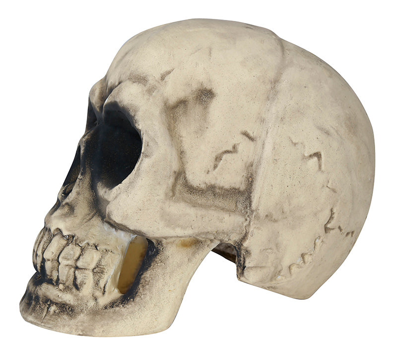 FOAM SKULL 32 CMS