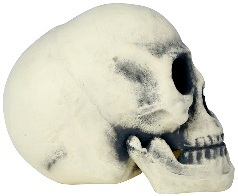 FOAM SKULL 32 CMS