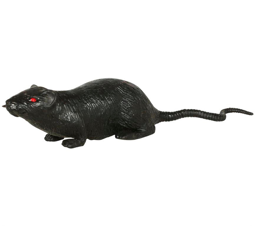 LATEX RAT 10 CMS