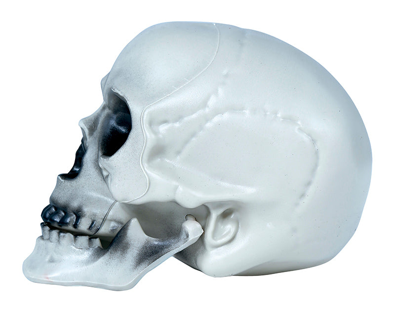 SKULL PVC 20 CMS