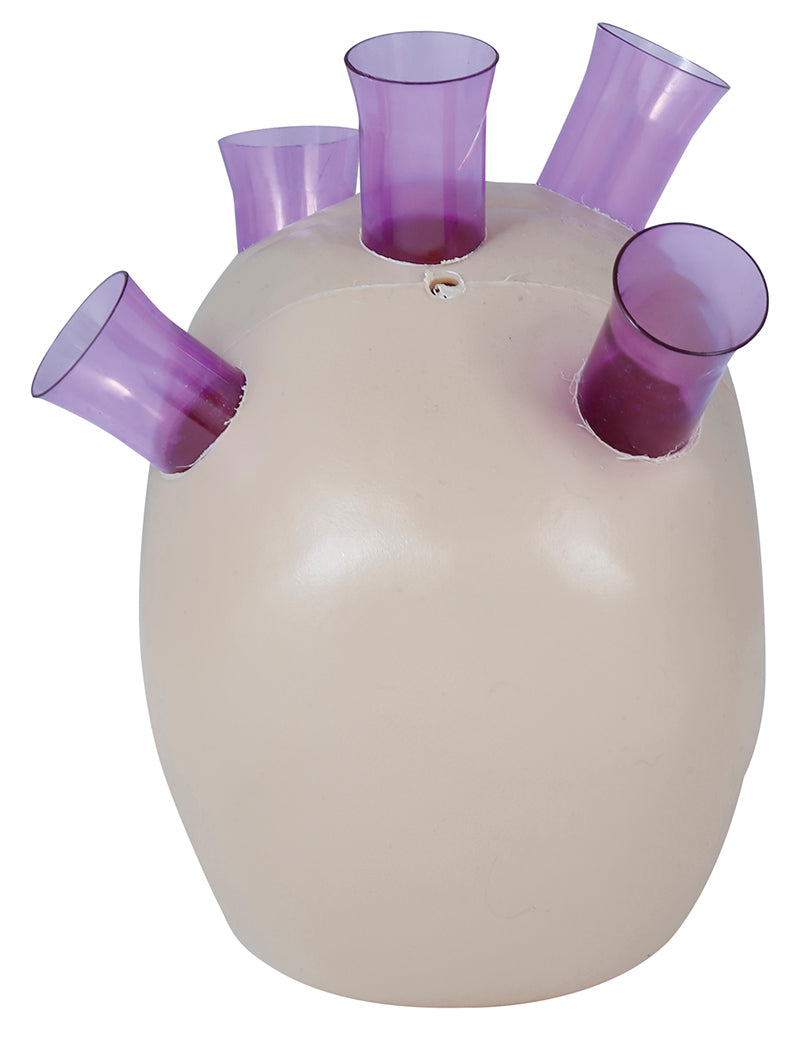 SKULL WITH SHOT GLASSES 20 CMS