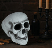 SKULL 30 CMS