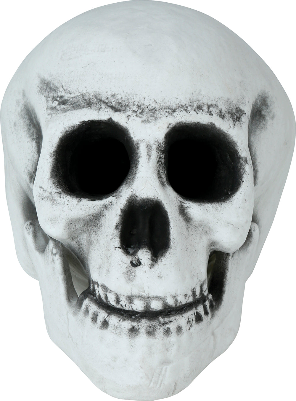 SKULL 30 CMS