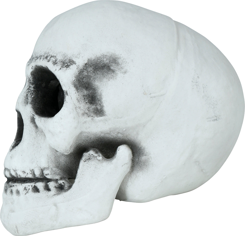 SKULL 30 CMS
