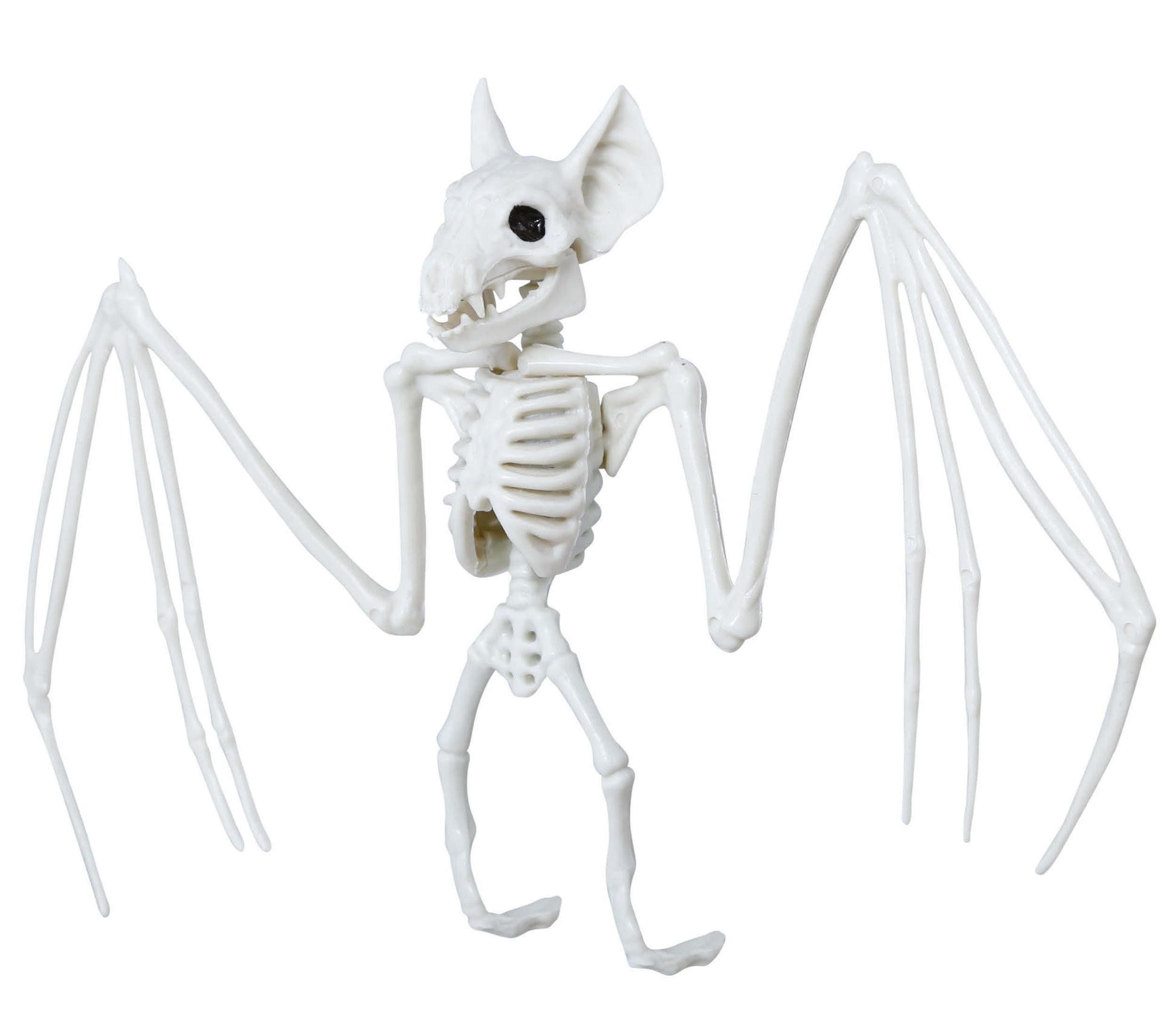 BAT SKELETON 30X16 CMS