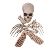 BAG OF 12 BONES
