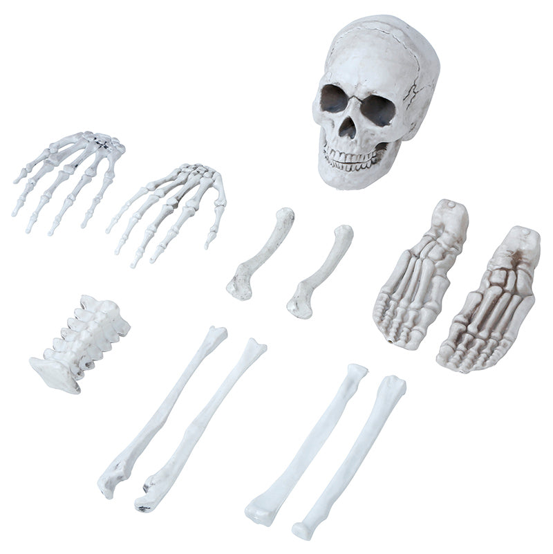 BAG OF 12 BONES
