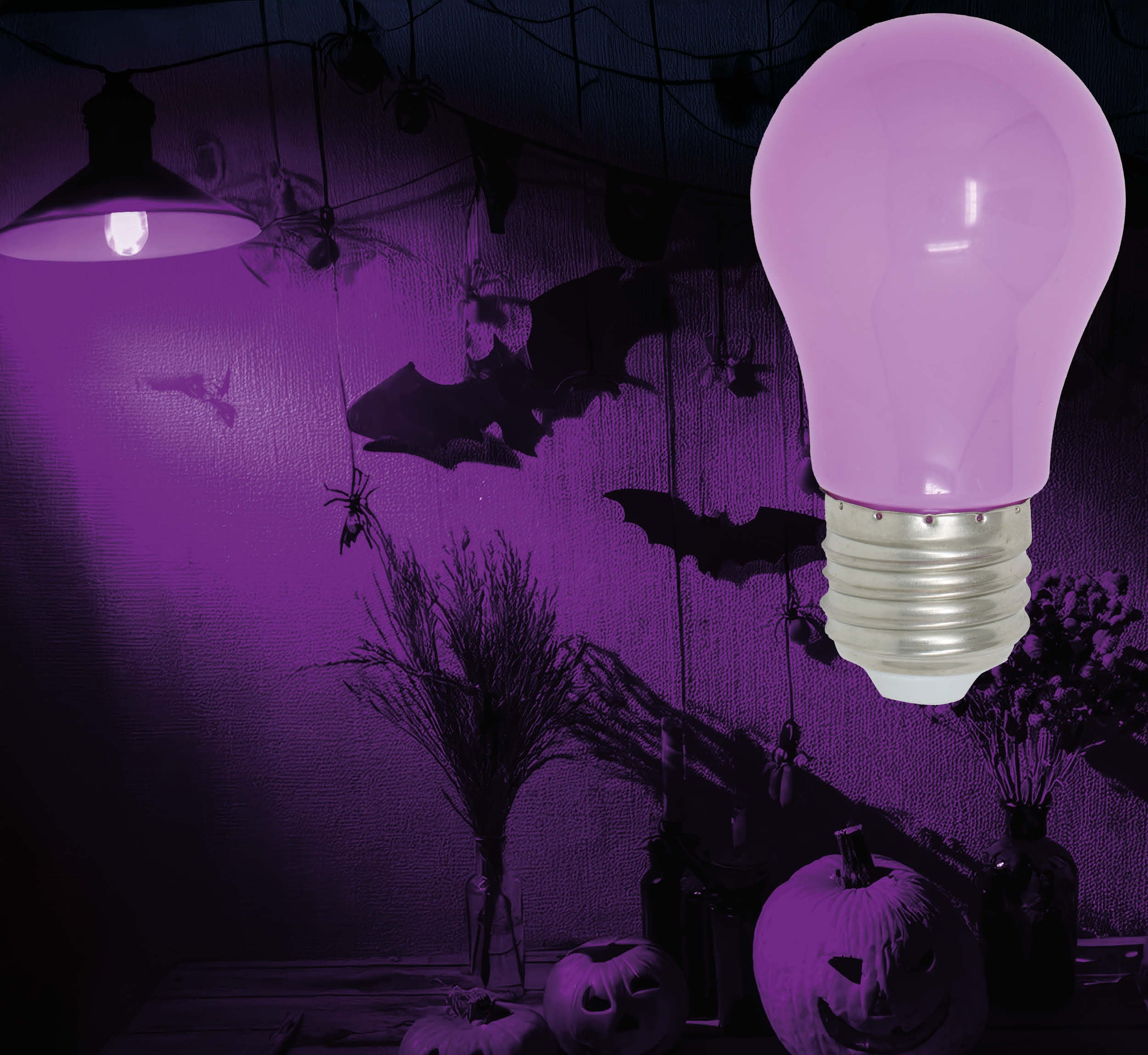 LED BULB 5W