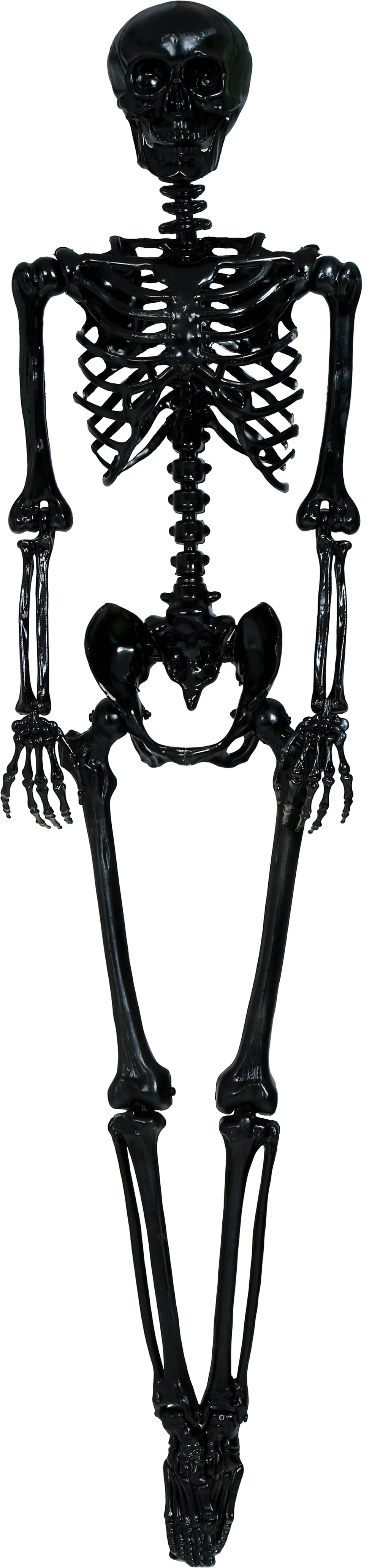 SKELETON 90 CM