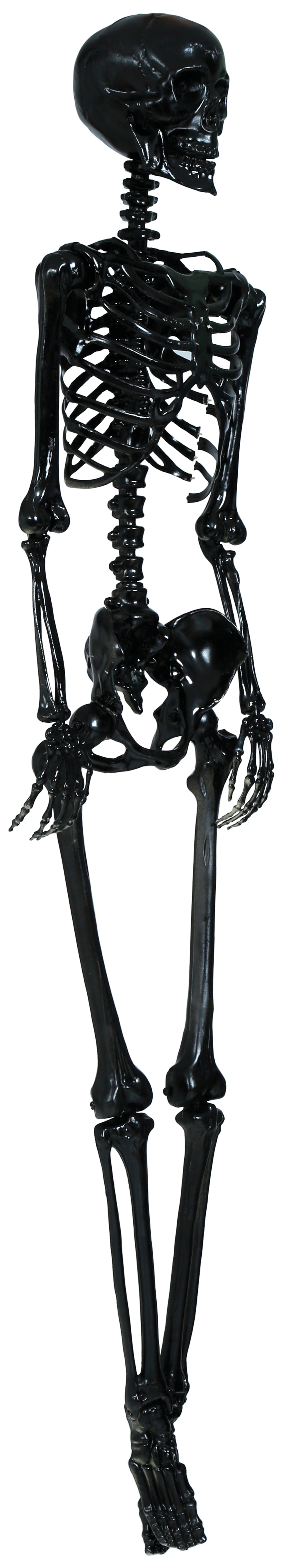 SKELETON 90 CM