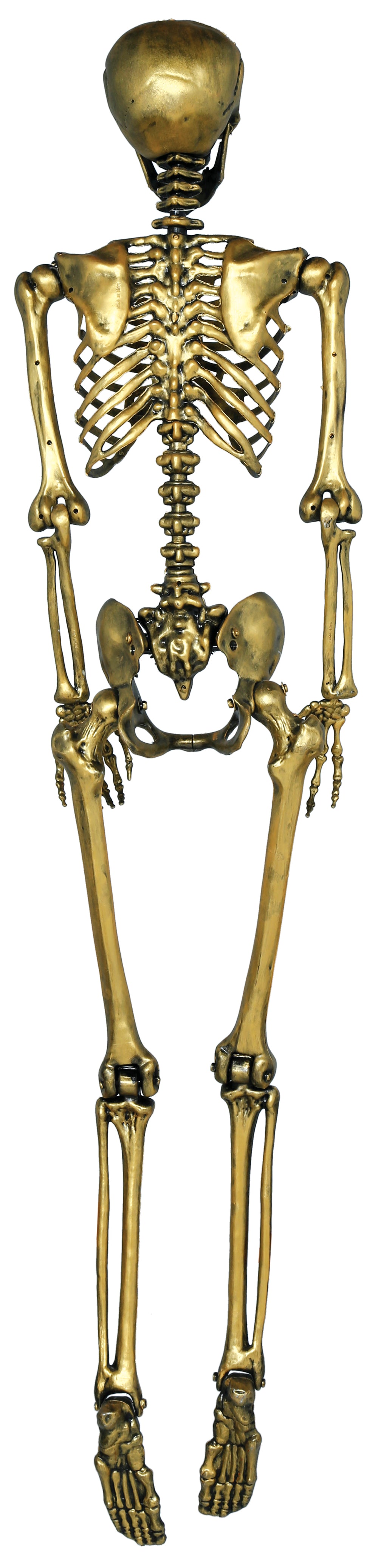 SKELETON 90 CM