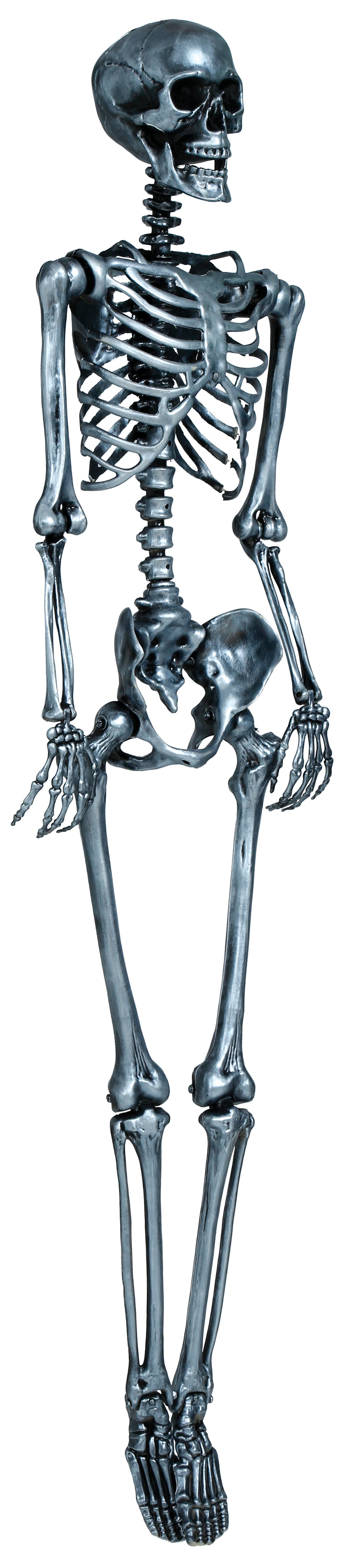 SKELETON 90 CM
