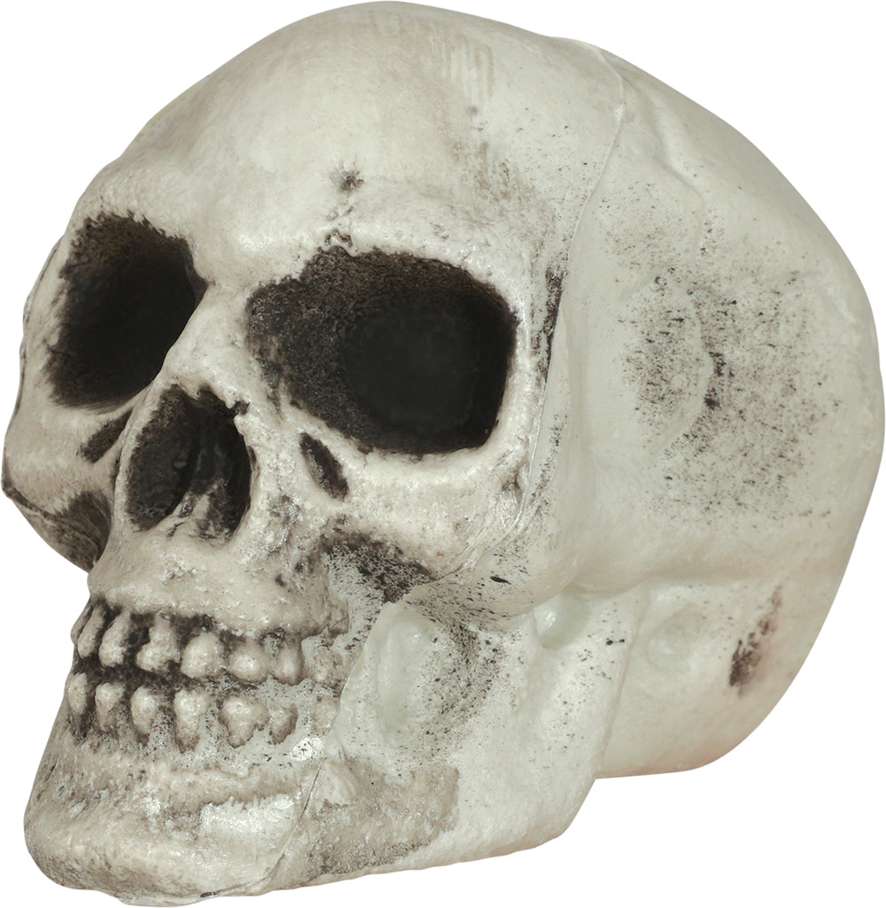 SET OF 6 SKULLS 8 CM