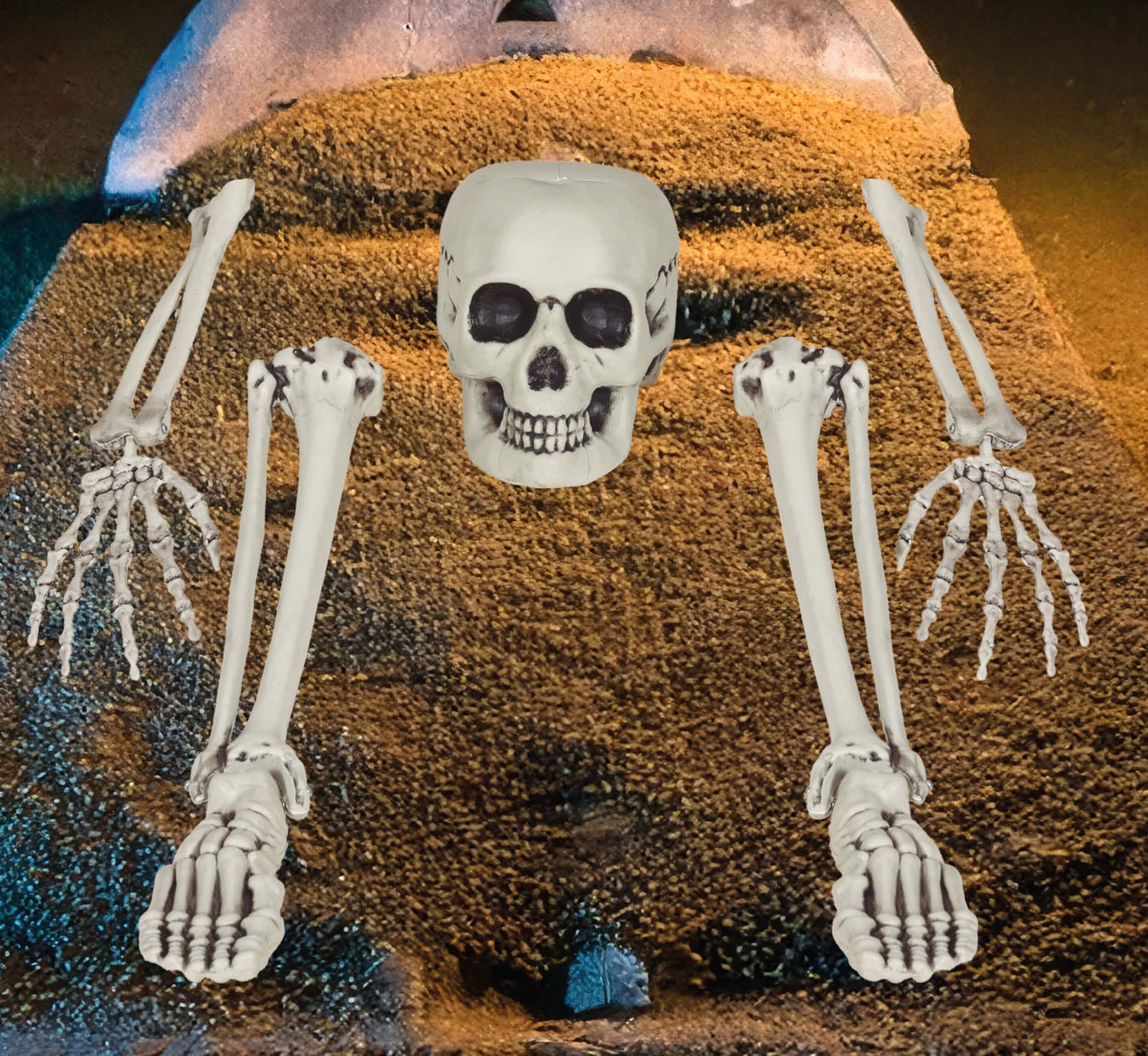 SKELETON BONE SET, 5 PIECES