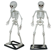 STANDING SKELETON 55 CM