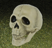 SKULL PVC, 13 CM