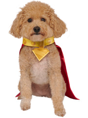 Krypto Pet Cape and Collar 1