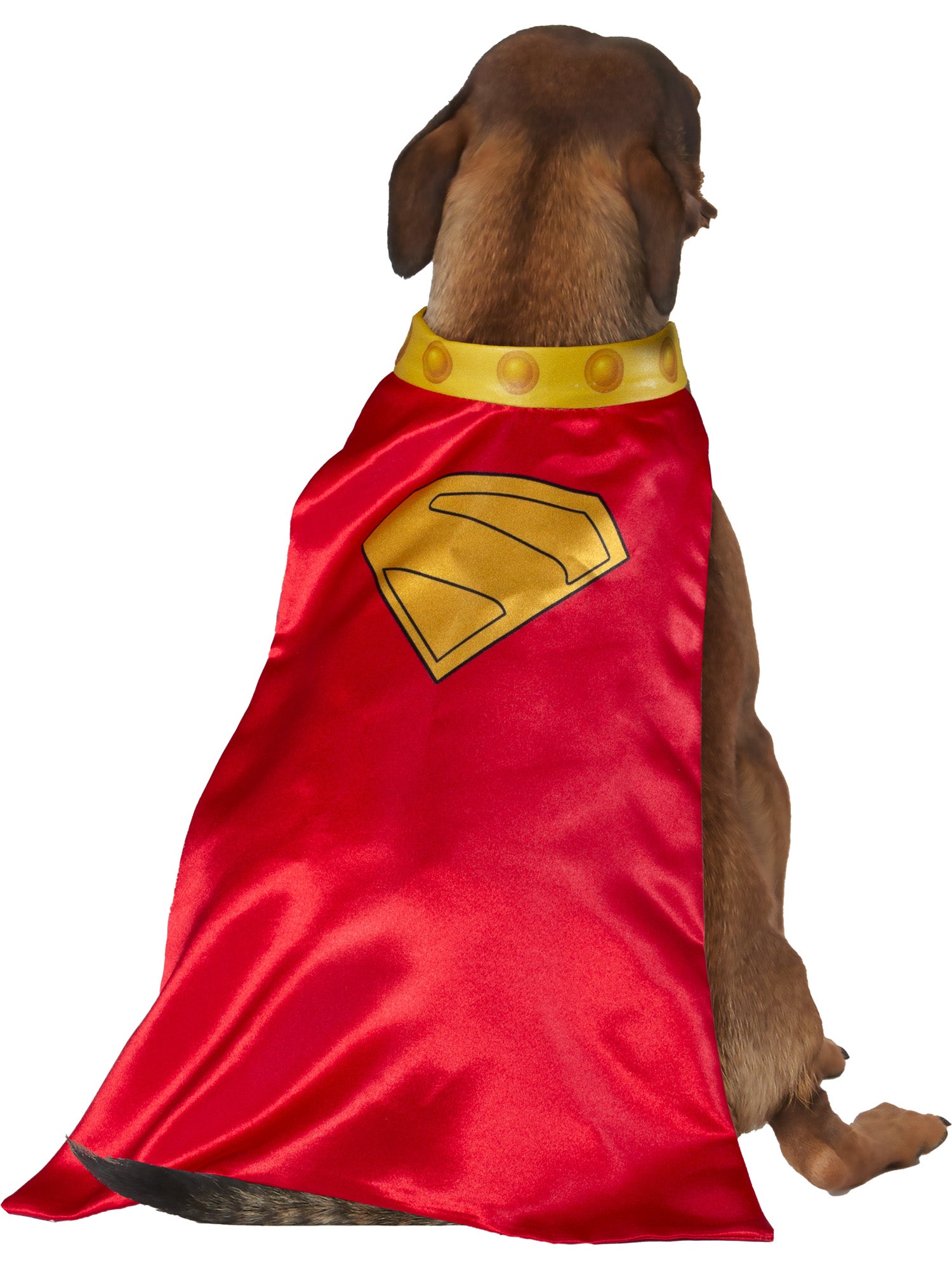 Krypto Pet Cape and Collar 2