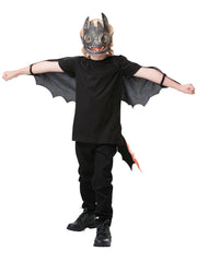 Toothless Accessory Set 1
