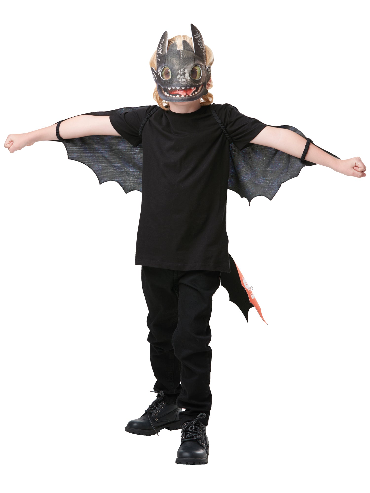 Toothless Accessory Set 1