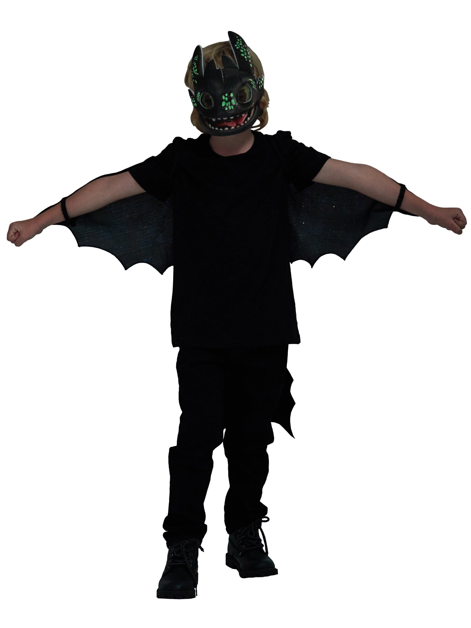 Toothless Accessory Set 2