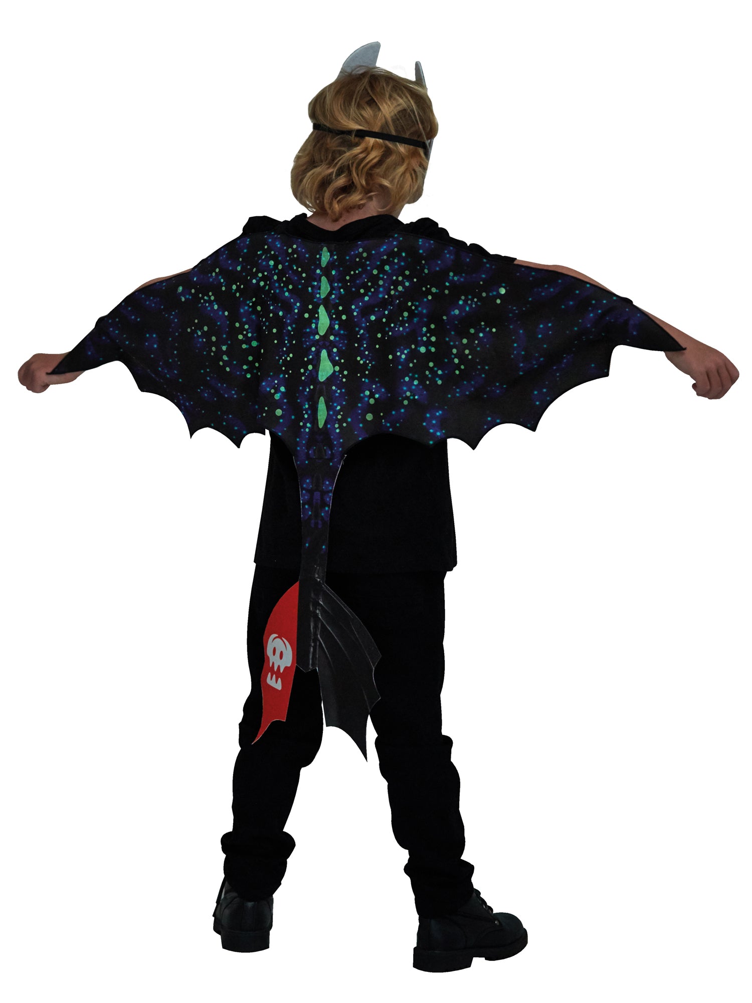 Toothless Accessory Set 3
