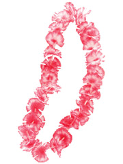 HAWAIIAN LEIS- PK/WH 1