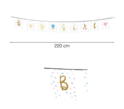 IT'S A BOY OR A GIRL PENNANT 220 CMS