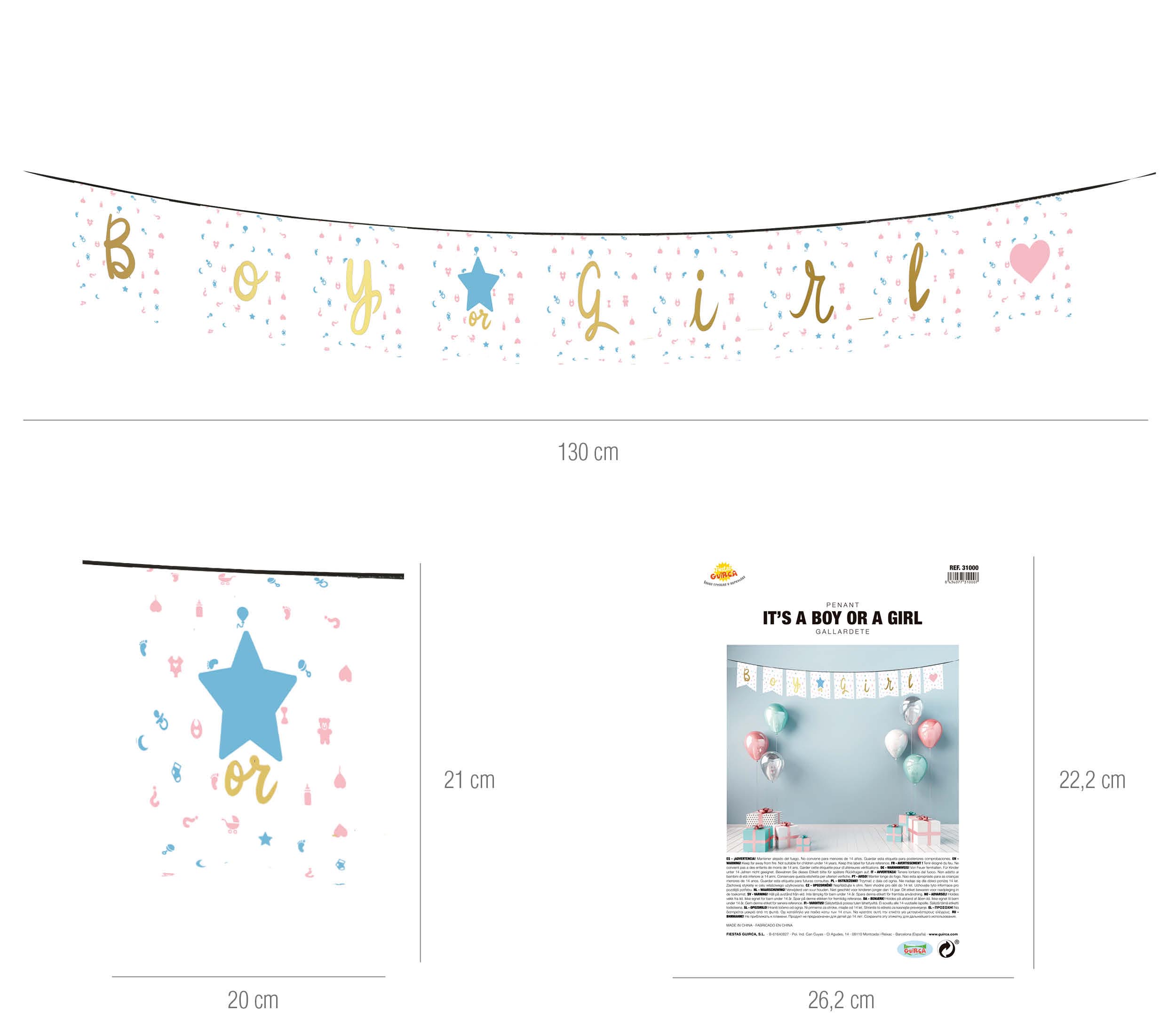 IT'S A BOY OR A GIRL PENNANT 220 CMS