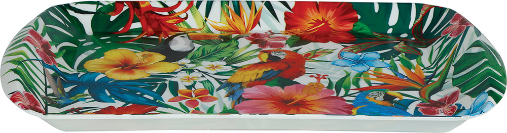 TRAY, 39X24 CMS, PLASTIC