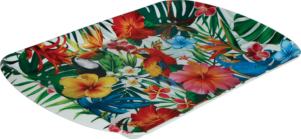 TRAY, 39X24 CMS, PLASTIC