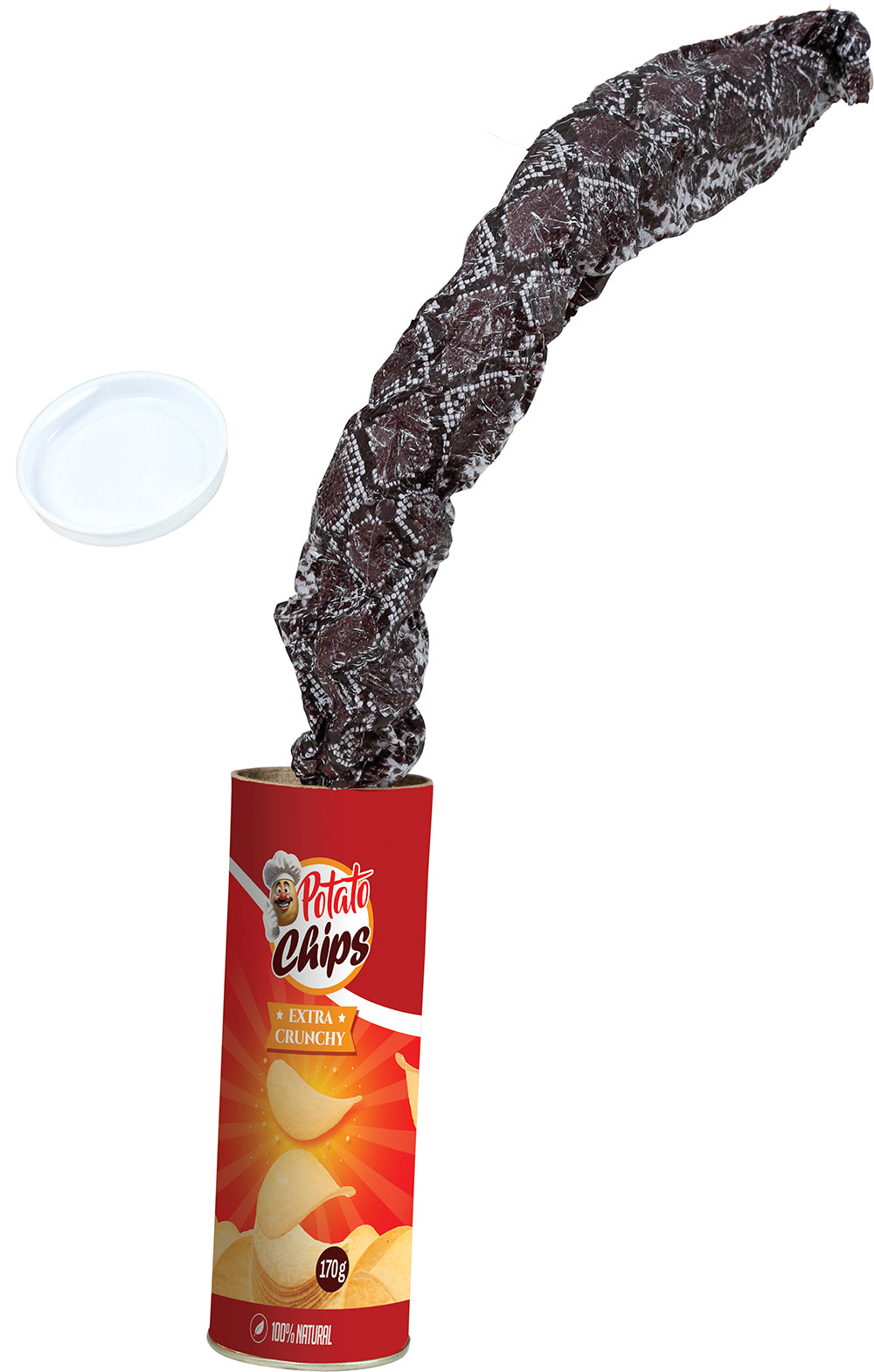 SURPRISE POTATO CAN 20 CM
