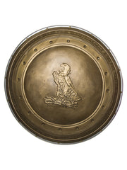 WONDER WOMAN SHIELD 1