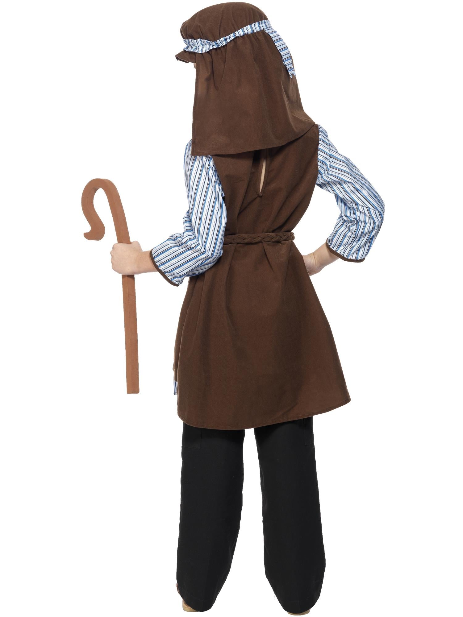 Shepherd Costume, Blue & Brown 2