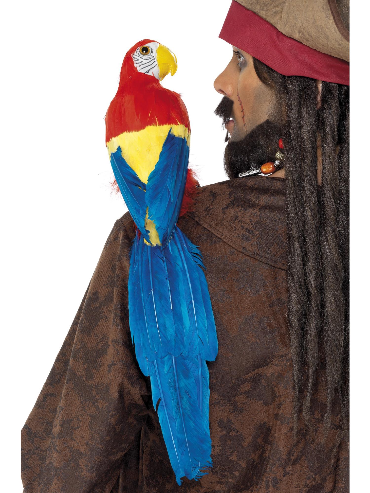 Parrot 50cm / 20in, Multi-Coloured 1