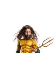 Aquaman Wig And Beard 1