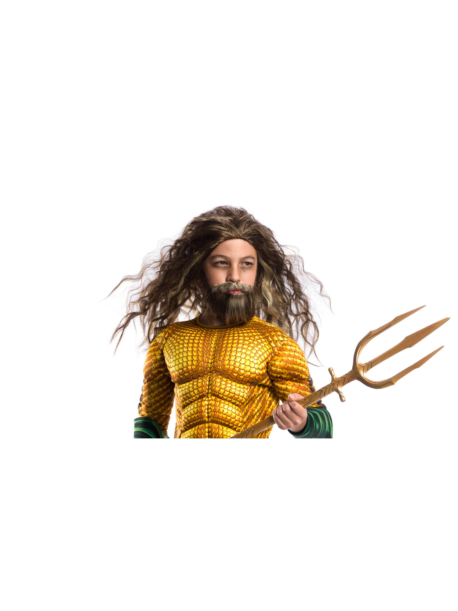Aquaman Wig And Beard 1