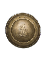 Wonder Woman Shield 1