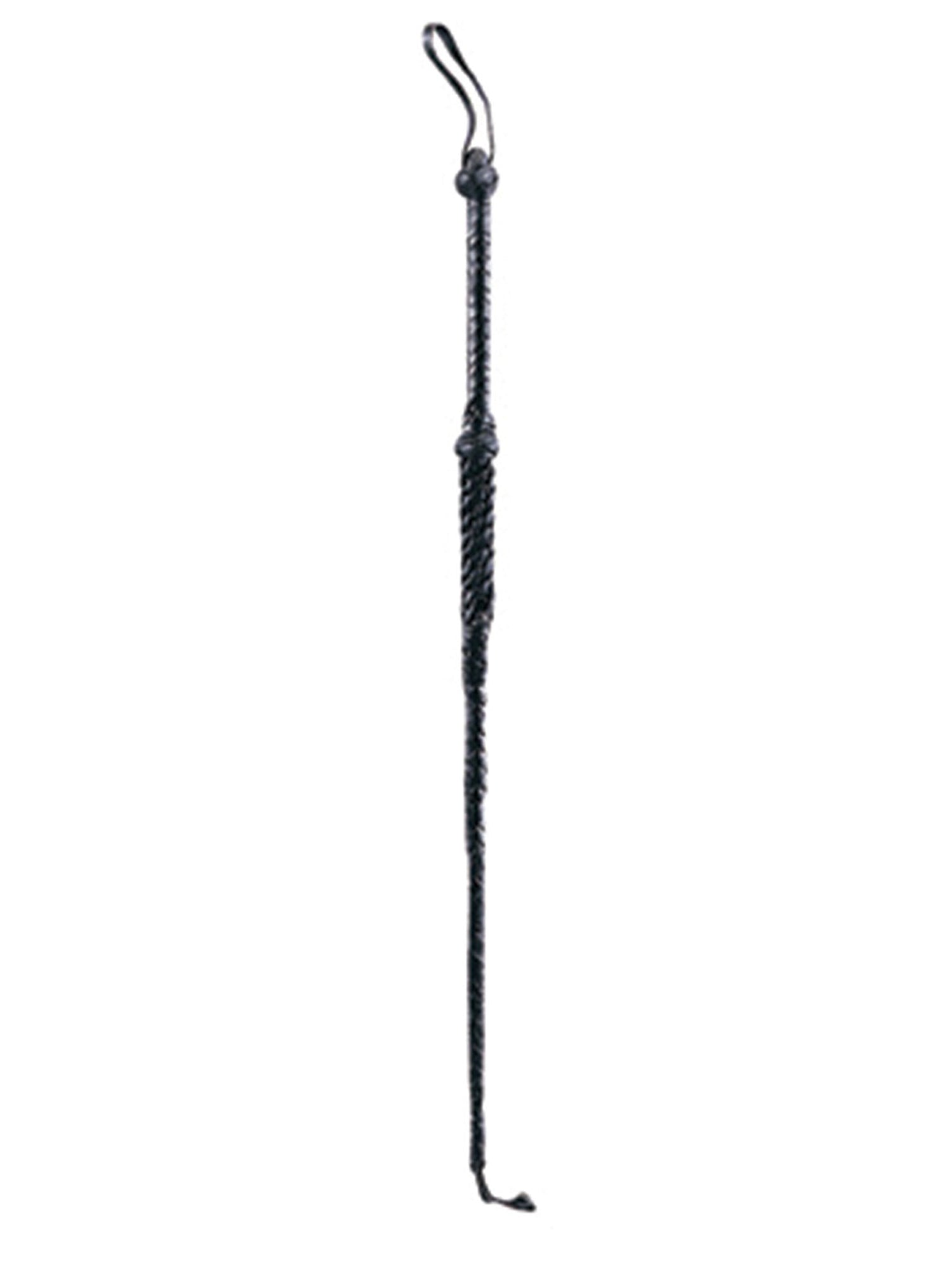 Riding Crop 1