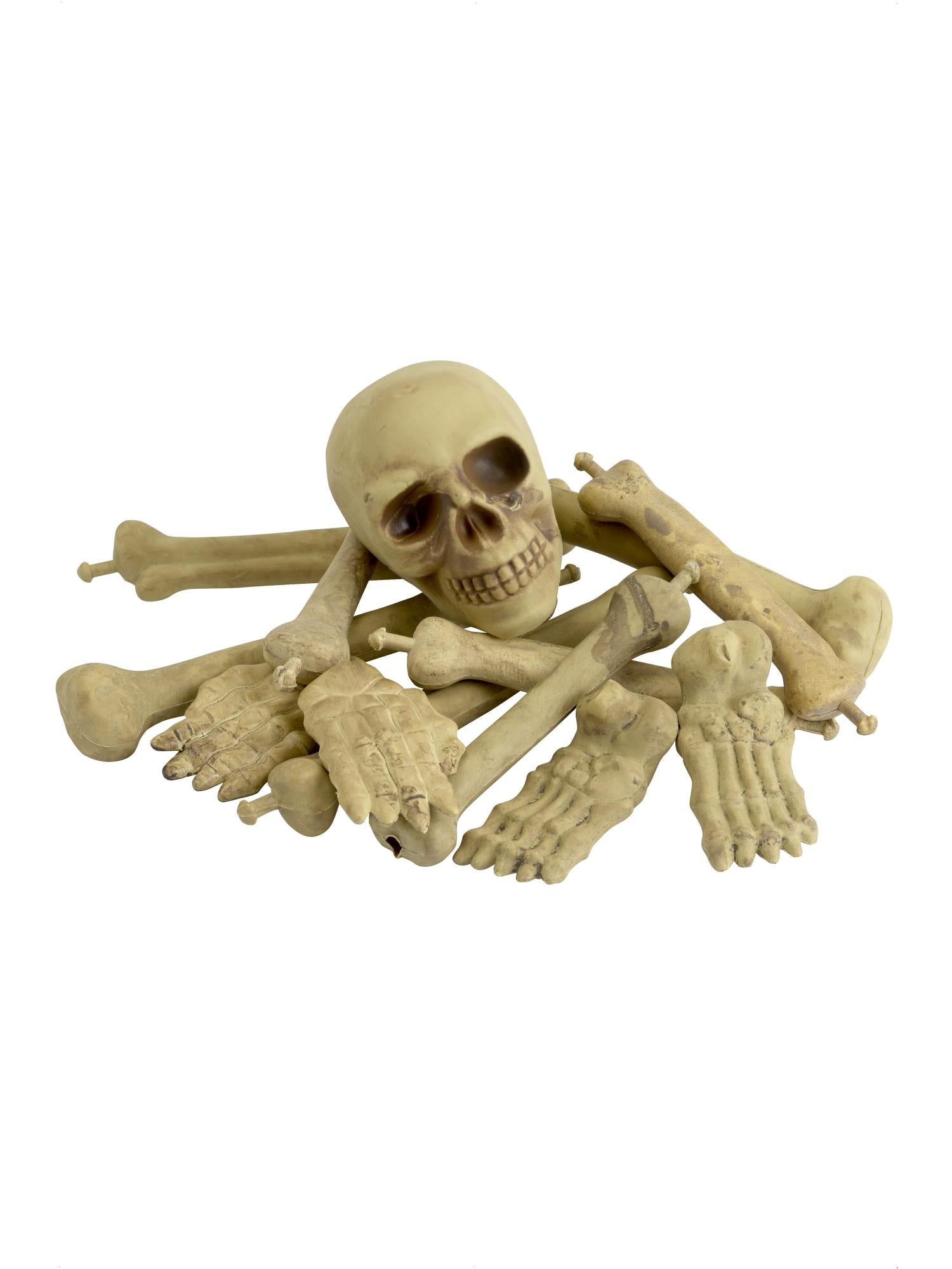 Bag of Bones & Skull, Natural 1