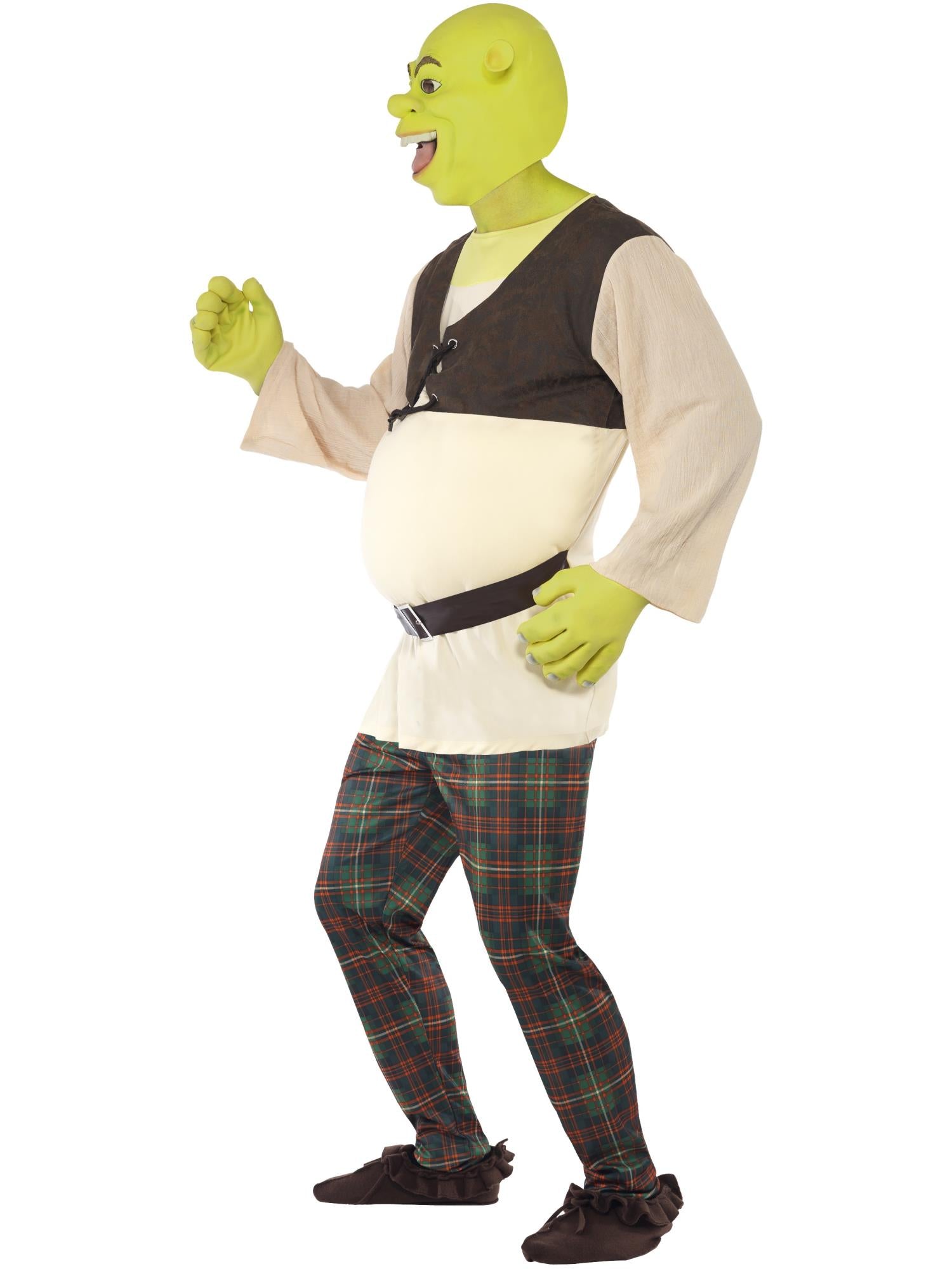 Shrek Costume, Green 3