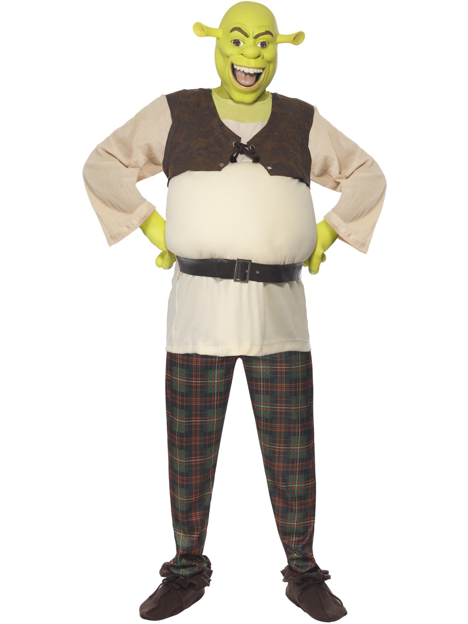 Shrek Costume, Green 1