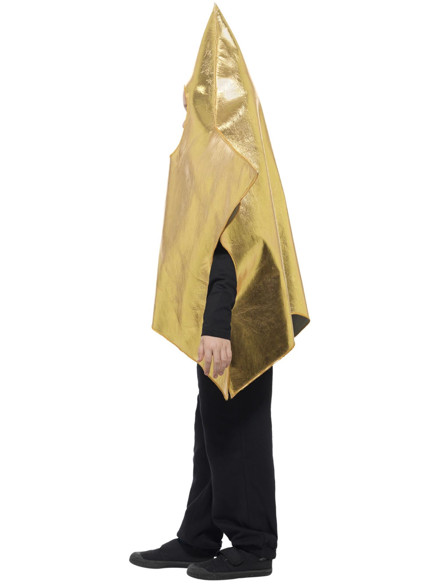 Shining Star Costume, Gold 3