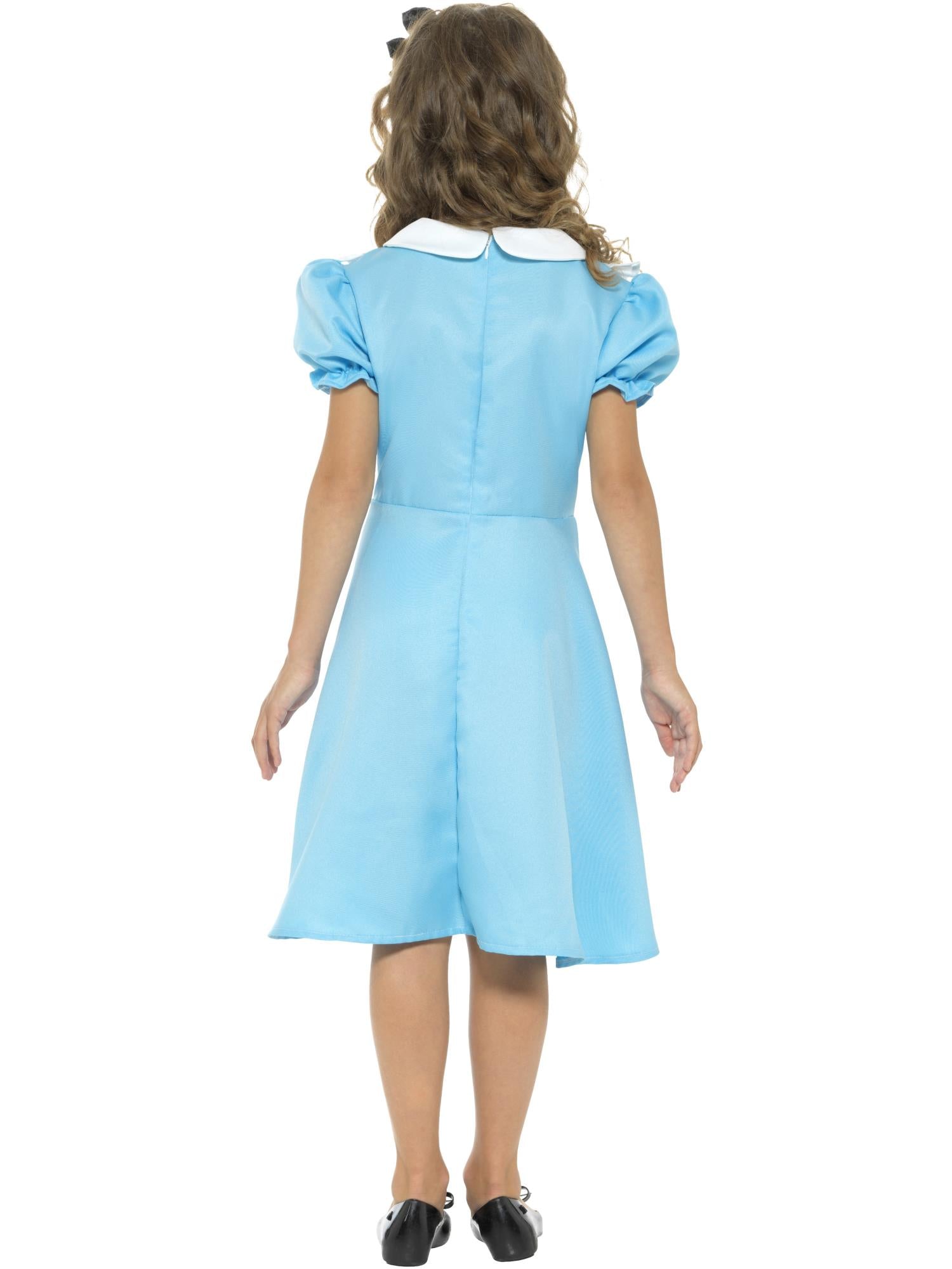 Wonderland Princess Costume, Blue 2