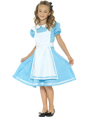 Wonderland Princess Costume, Blue 1