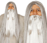 GREY WITCH WIG IN BOX