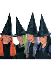 Witch Hat with Hair 1