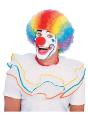 Clown Wig Multi Colour Afro 1